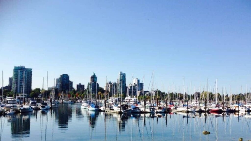 A peaceful marina scene with numerous sailboats moored in calm waters, with Vancouver's urban skyline and clear skies in the background, taken from the Stanley Park seawall area.
