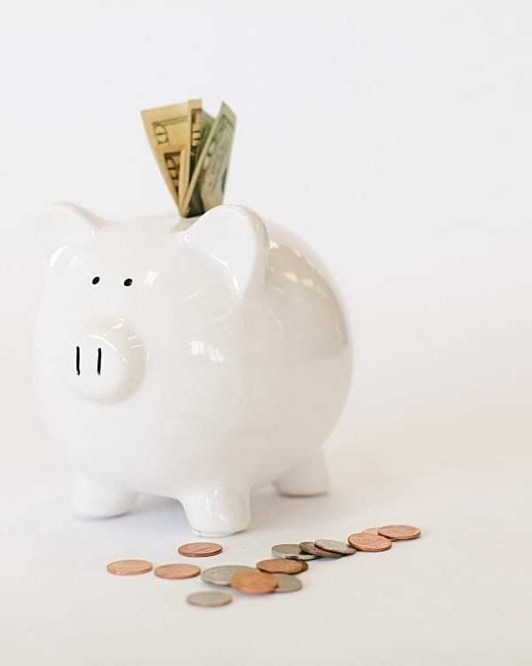 My Million Dollar Experiment: Progress After 4 Months