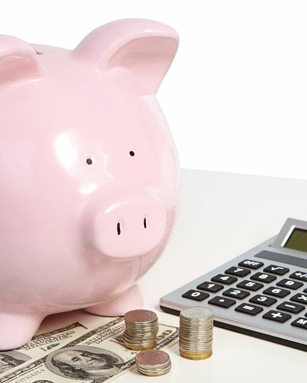 My Million Dollar Experiment: My Results In 12 Months