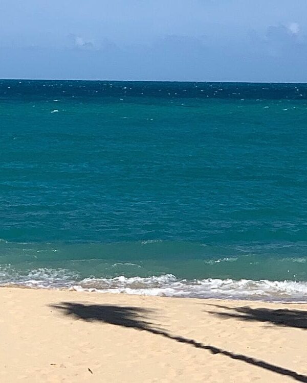 13 Great Reasons To Visit Bermuda On Your Solo Travels