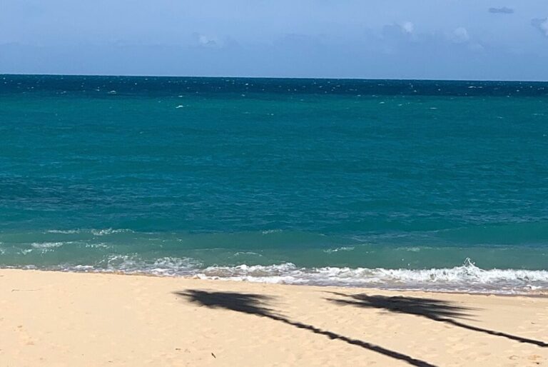 13 Great Reasons To Visit Bermuda On Your Solo Travels