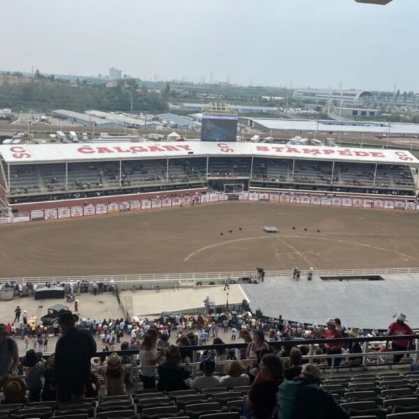 A wide shot of the Calgary Stampede rodeo arena from a high vantage point, with the audience filling the stands and the rodeo grounds below.