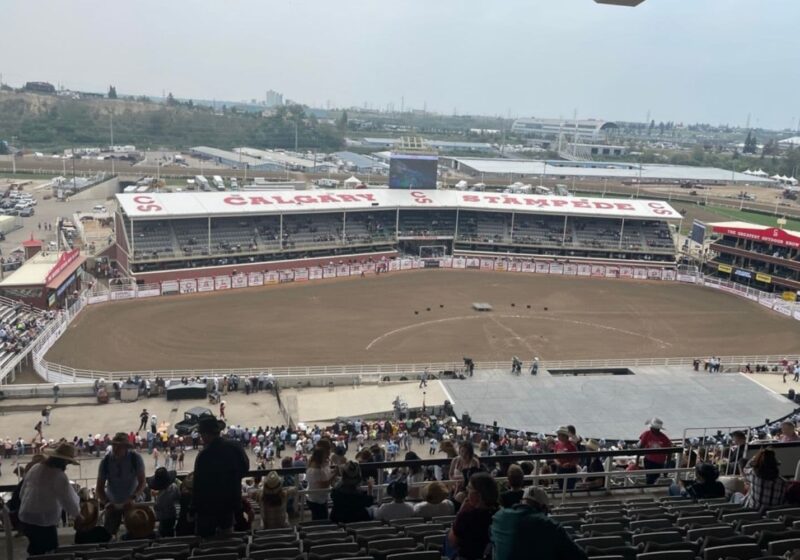 A wide shot of the Calgary Stampede rodeo arena from a high vantage point, with the audience filling the stands and the rodeo grounds below.