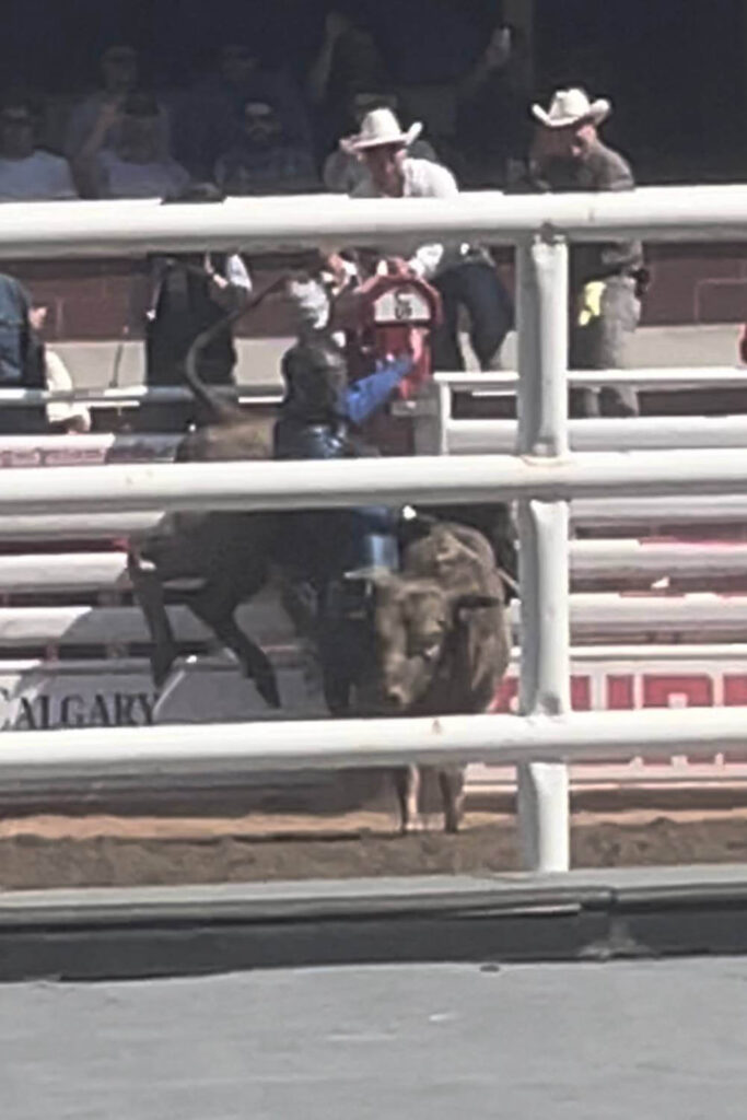 A rodeo scene with a cowboy riding a bucking bull in a dusty arena, with spectators wearing cowboy hats watching intently from the stands.