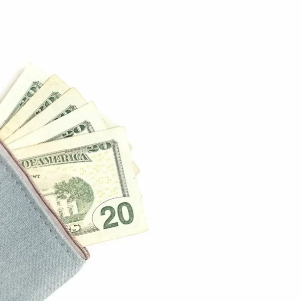 A grey fabric wallet with a zipper partially open, revealing multiple twenty-dollar bills fanned out against a white background, symbolizing financial abundance or savings.