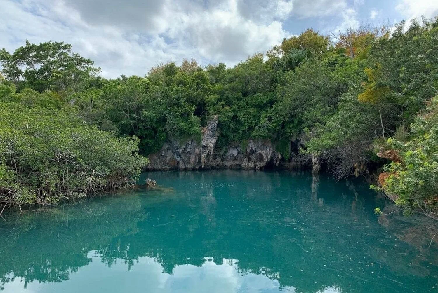 A tranquil scene of Bermuda's Blue Hole Park, showcasing the serene blue waters surrounded by lush greenery and rugged rock formations, reflecting a peaceful natural swimming spot.