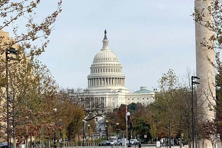 The United States Capitol Building in Washington, D.C., viewed from a tree-lined street, showcasing its iconic dome and neoclassical architecture, a symbol of the American government.