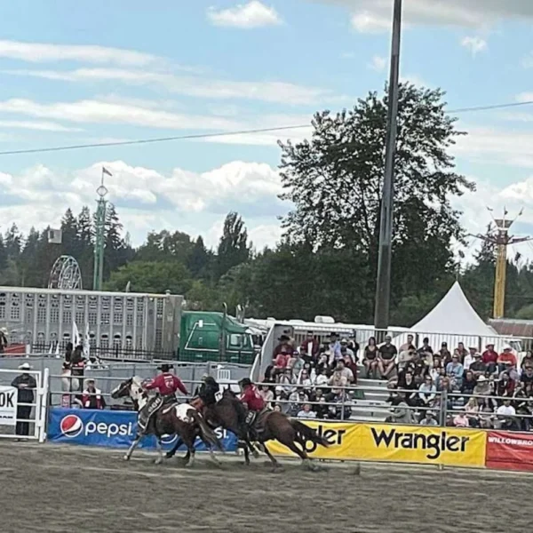 A Cloverdale rodeo event in action, with horseback riders competing in a sandy arena, a crowd of spectators in the stands, and fairground attractions like a Ferris wheel in the background, under a partly cloudy sky.