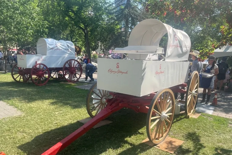 Two white Calgary Stampede chuckwagons sit on a grassy area, one closer to the foreground with "Calgary Stampede" and "A Century of Pancakes 1923&ndash;2023" logos visible. Volunteers and attendees in western wear gather nearby under sunny skies.