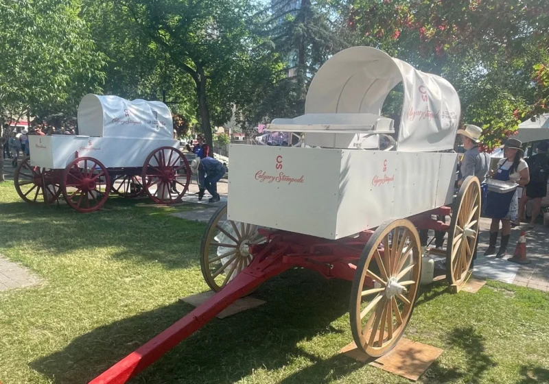 Two white Calgary Stampede chuckwagons sit on a grassy area, one closer to the foreground with "Calgary Stampede" and "A Century of Pancakes 1923–2023" logos visible. Volunteers and attendees in western wear gather nearby under sunny skies.