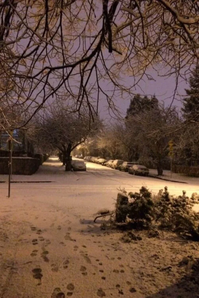 A peaceful residential street covered in fresh snow at dawn, with footprints in the snow and soft winter light glowing through the trees.
