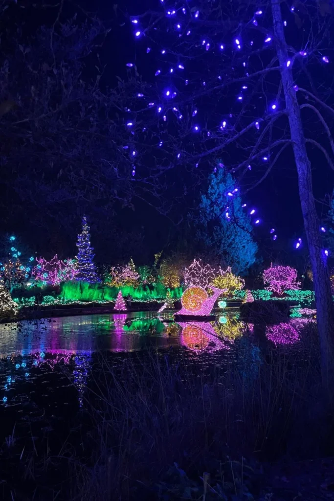 A colourful winter light display at VanDusen Garden reflecting across a still pond, with bright purple, pink, and green lights glowing against the night sky.