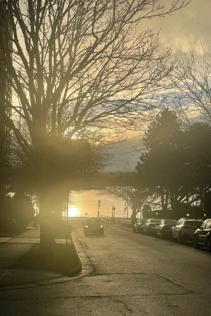 Golden winter sunset shining through bare trees on a quiet Vancouver street overlooking the water, creating a peaceful evening scene.