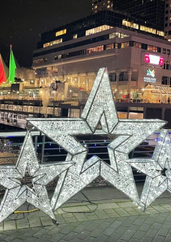 Vancouver Christmas Lights Guide: Free Displays, Ticketed Events & Festive Walks