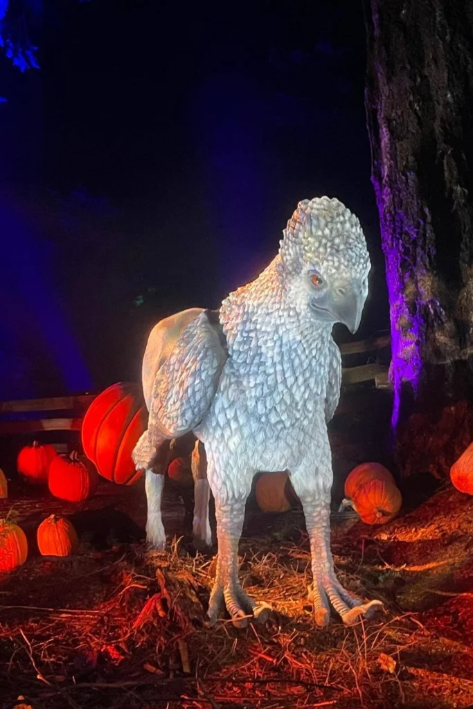A detailed Buckbeak hippogriff statue lit with colourful lights among pumpkins at the Harry Potter Forbidden Forest Experience.