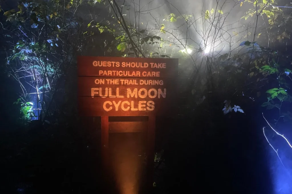 A wooden sign warning guests to take care during full moon cycles along the Harry Potter Forbidden Forest Experience trail, surrounded by misty lighting.