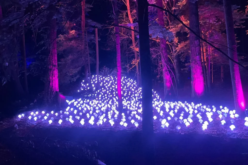 A large forest display filled with glowing white mushrooms under pink and purple lights at the Harry Potter Forbidden Forest Experience.
