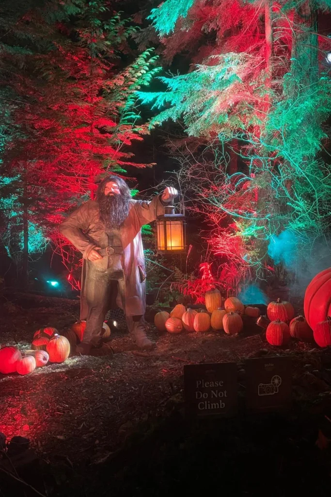 A Hagrid figure holding a lantern surrounded by glowing pumpkins in the forest at the Harry Potter Forbidden Forest Experience.