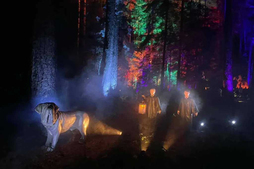 Statues of Harry, Draco and Fang surrounded by fog and colourful lights inside the Harry Potter Forbidden Forest Experience.