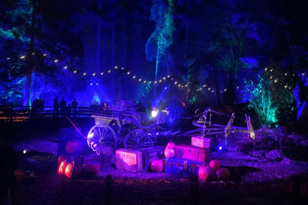 A lit nighttime display featuring a Hogwarts-style carriage, trunks, pumpkins and forest scenery at the Forbidden Forest Experience.