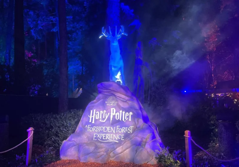 A glowing blue stag Patronus standing on a rock engraved with the Harry Potter Forbidden Forest Experience logo.