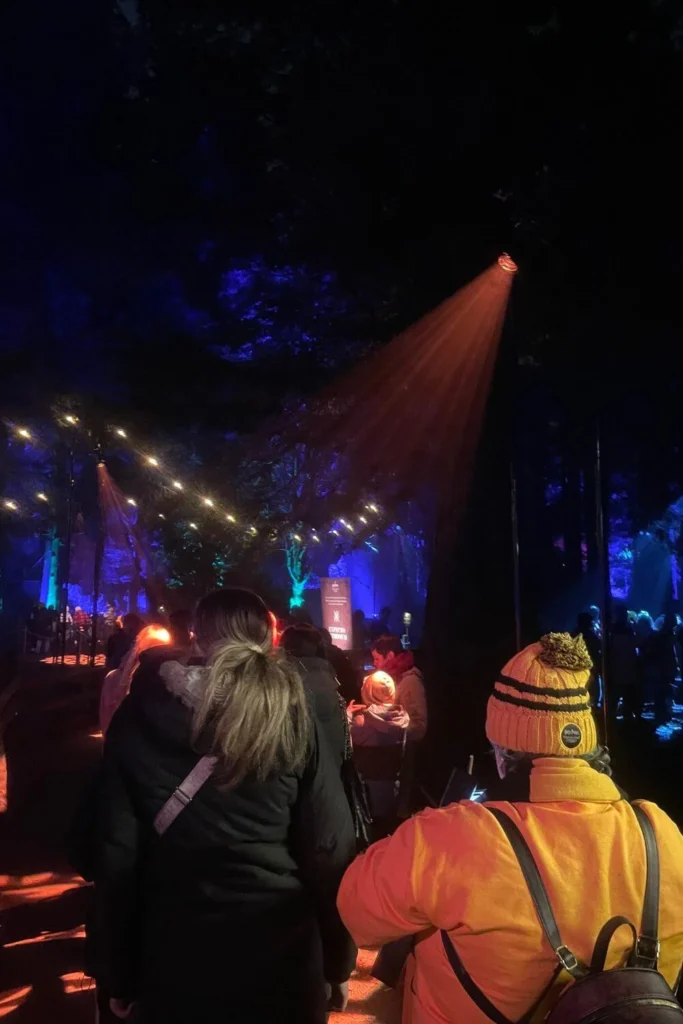 Visitors walking along the illuminated forest trail at the Harry Potter Forbidden Forest Experience, with colourful lights and glowing effects overhead.