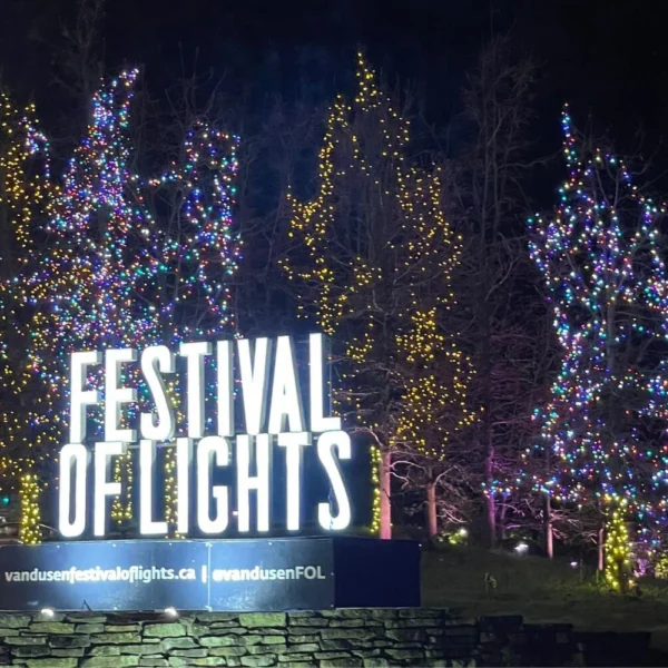 Festival of Lights entrance sign at VanDusen Botanical Garden in Vancouver, with colorful Christmas lights wrapped around bare trees at night.