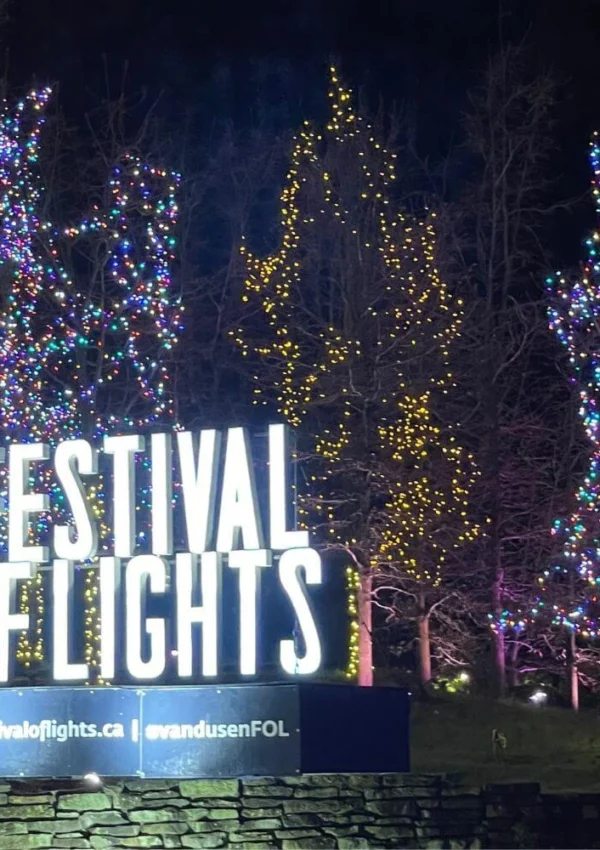 Ultimate Guide To Going To VanDusen Festival Of Lights Alone