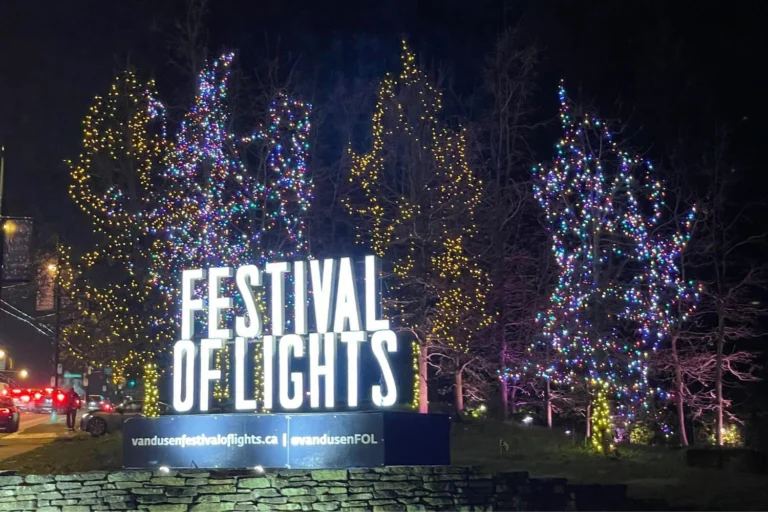 Festival of Lights entrance sign at VanDusen Botanical Garden in Vancouver, with colorful Christmas lights wrapped around bare trees at night.
