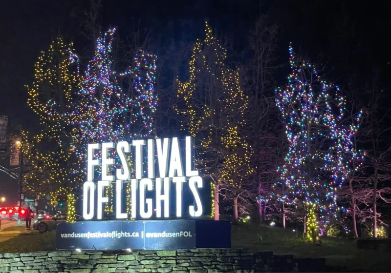 Festival of Lights entrance sign at VanDusen Botanical Garden in Vancouver, with colorful Christmas lights wrapped around bare trees at night.