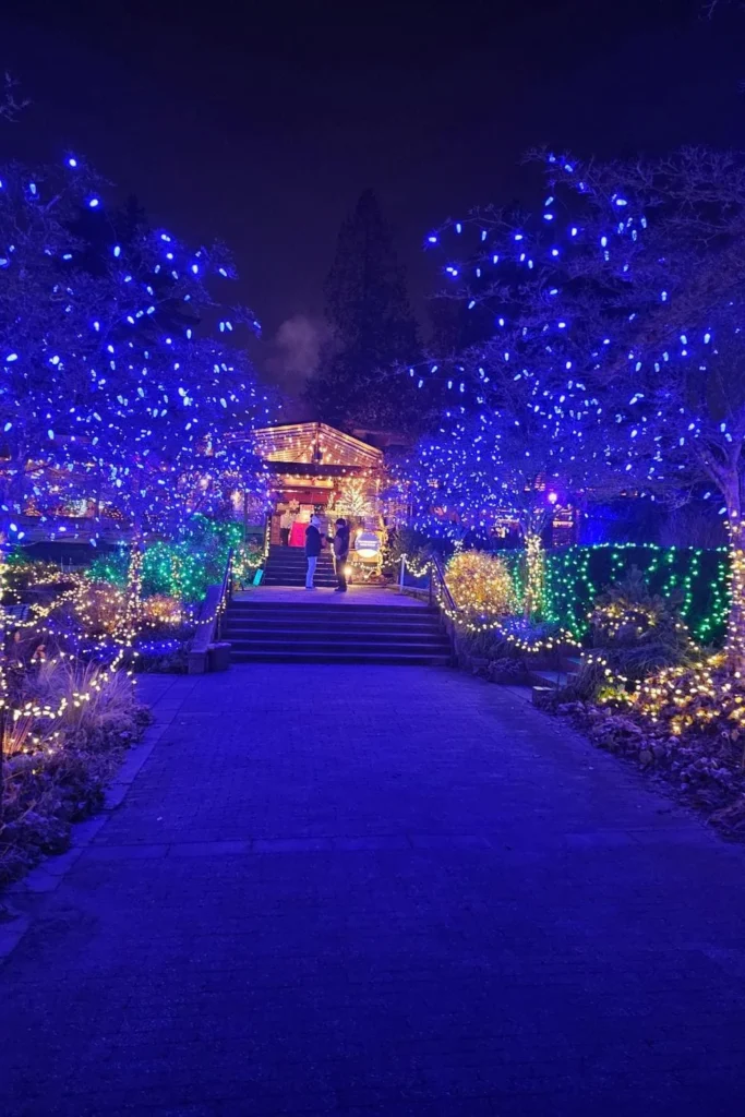 Entrance walkway lined with blue and green Christmas lights at VanDusen Festival of Lights.