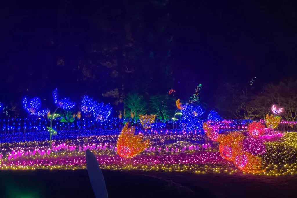 Light-up garden flower displays and colourful pathways at VanDusen Festival of Lights.