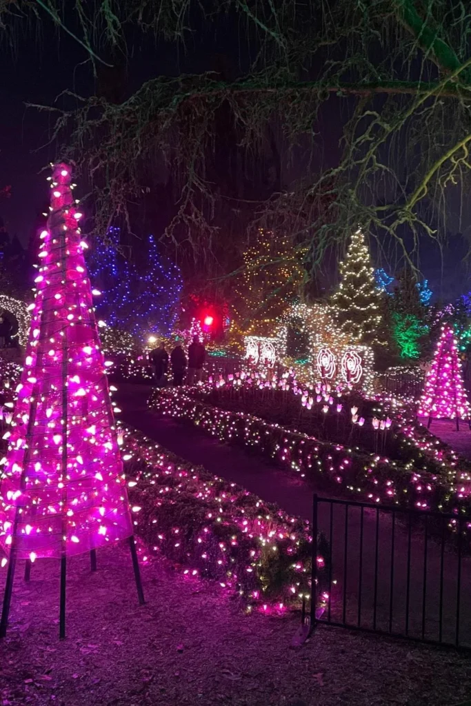 Pink light-up Christmas trees lining garden pathways at VanDusen Festival of Lights in Vancouver.