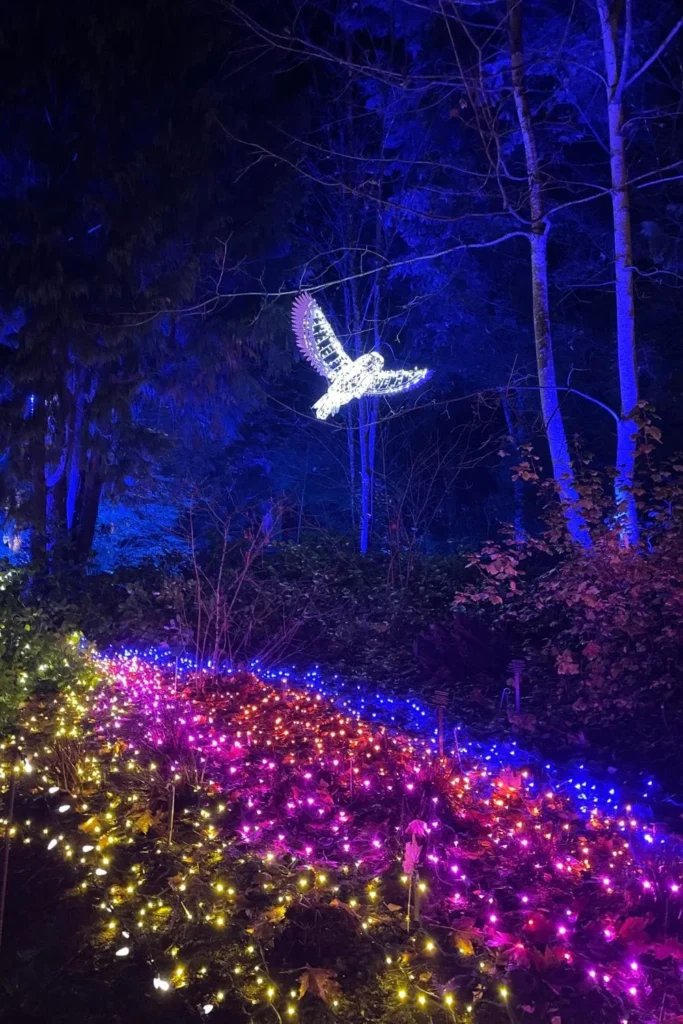 Illuminated bird light installation glowing above colourful pathways at VanDusen Festival of Lights.