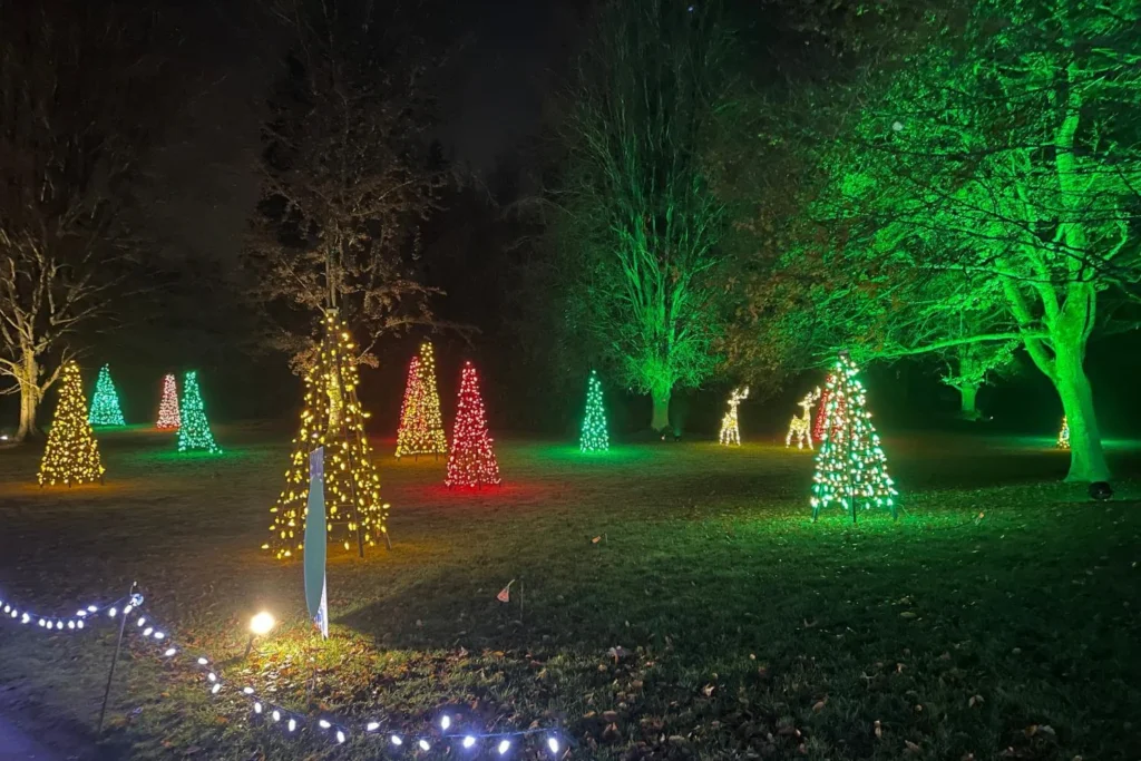 Cone-shaped Christmas light trees glowing across a grassy area at VanDusen Festival of Lights.