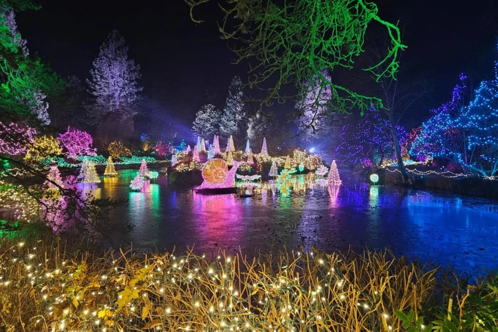 Panoramic view of VanDusen Botanical Garden pond surrounded by multicolour Christmas lights.