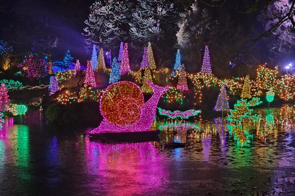 Glowing snail light installation reflected in water at VanDusen Festival of Lights in Vancouver.
