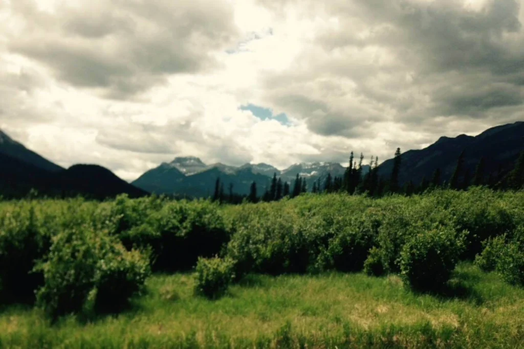 Wide mountain meadow landscape in Canada showing the variety of scenery female solo travelers can experience in one trip.