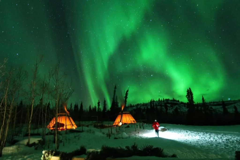 Northern Lights glowing over winter landscape near Whitehorse Yukon Canada.